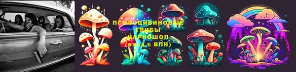 МДПВ Алексин