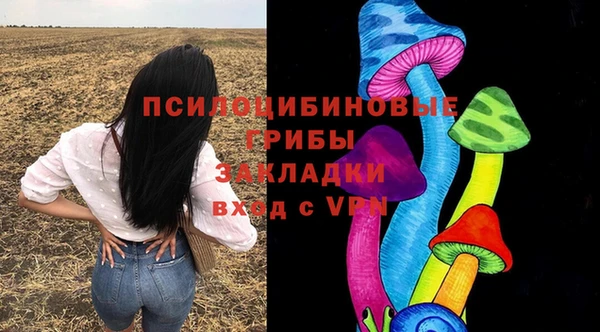 МДПВ Алексин