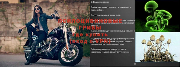 МДПВ Алексин