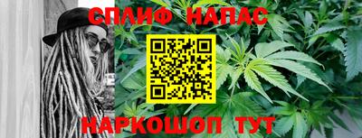 сатива Тосно