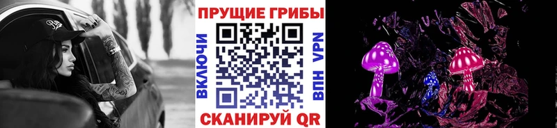 Псилоцибиновые грибы Cubensis  где купить   Бийск 