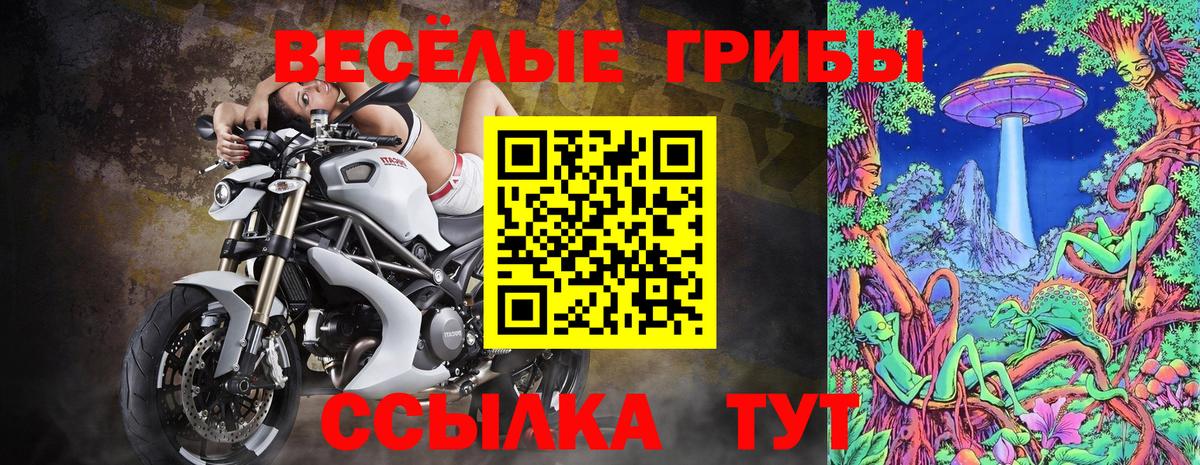 Бийск  где найти наркотики  Вход с VPN  Галлюциногенные грибы прущие грибы 